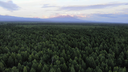 Similar image 22503133