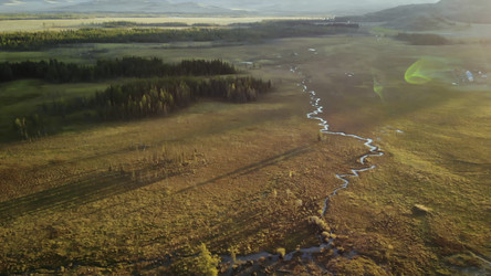 Similar image 22503182