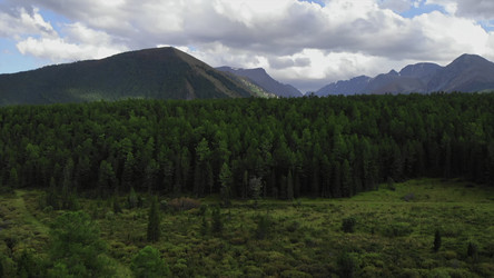 Similar image 22503239