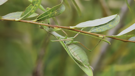 Similar image 22503312