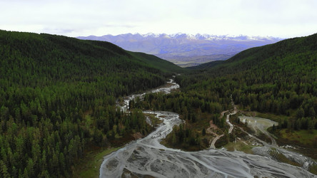 Similar image 22503328