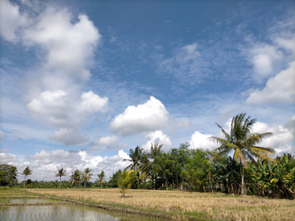 Similar image 22536039