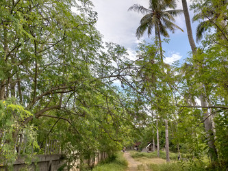 Similar image 22536040