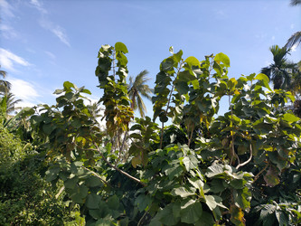 Similar image 22536084