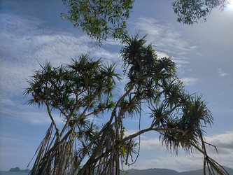 Similar image 22536085