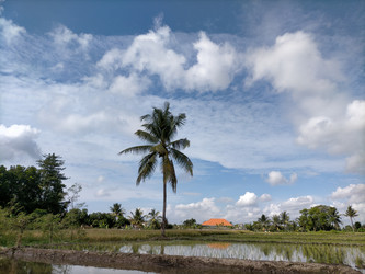 Similar image 22536114