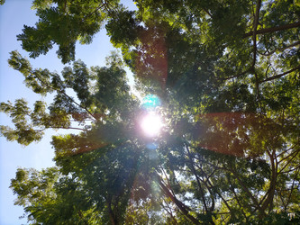 Similar image 22536129