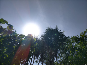 Similar image 22536144