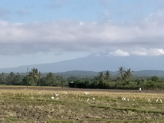 Similar image 22536205