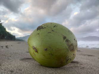 Similar image 22536219