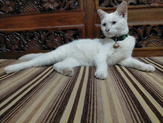 Similar image 22536220