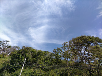 Similar image 22536234