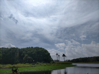 Similar image 22536293