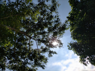 Similar image 22536308