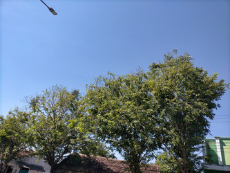 Similar image 22536338