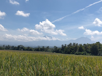 Similar image 22536353