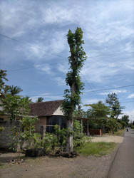 Similar image 22536354