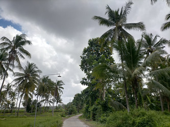 Similar image 22536368