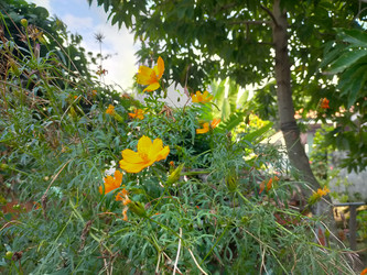 Similar image 22536383