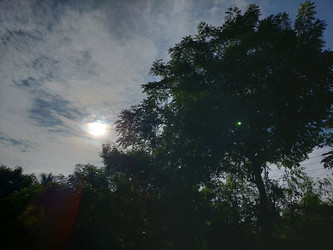 Similar image 22536413