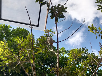 Similar image 22536444