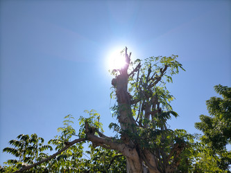 Similar image 22536458