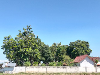 Similar image 22536473