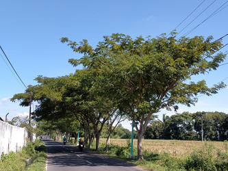 Similar image 22536474