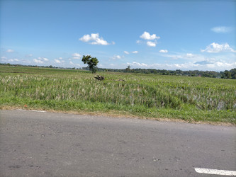 Similar image 22536488