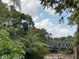 Similar image 22536503