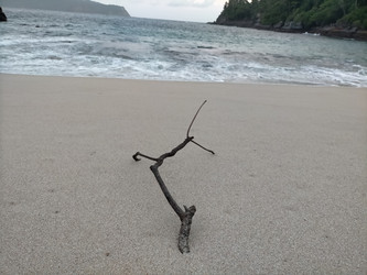 Similar image 22536533