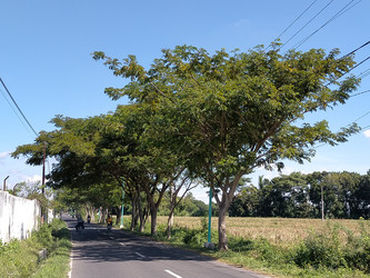 Similar image 22536563