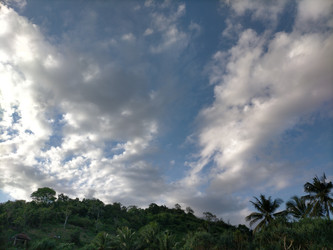 Similar image 22536564