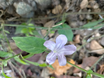 Similar image 22536579