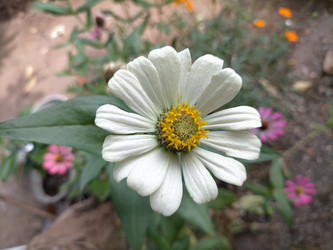 Similar image 22536608