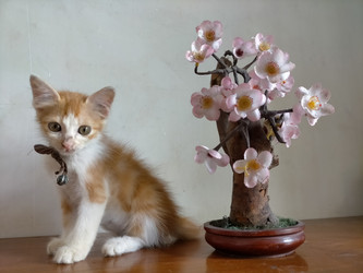 Similar image 22498606