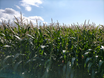 Similar image 22498621