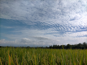 Similar image 22498637