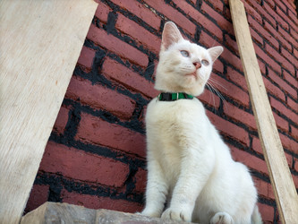 Similar image 22498651