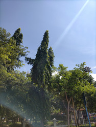 Similar image 22498666