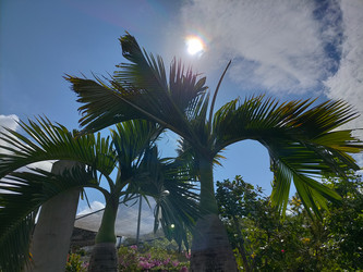 Similar image 22498681