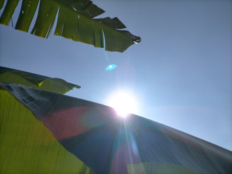 Similar image 22498682