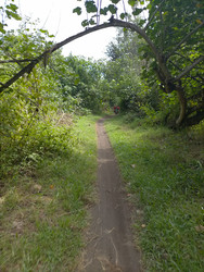 Similar image 22498726