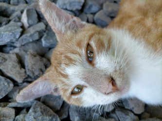 Similar image 22498756