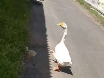 Similar image 22498771