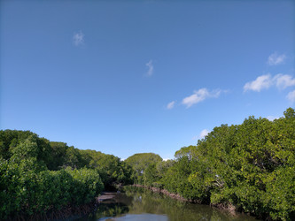 Similar image 22498787