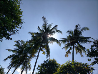 Similar image 22498832