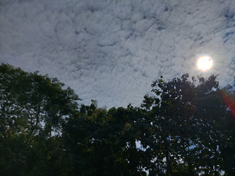 Similar image 22498861