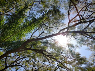 Similar image 22498862