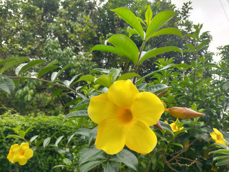 Similar image 22498876